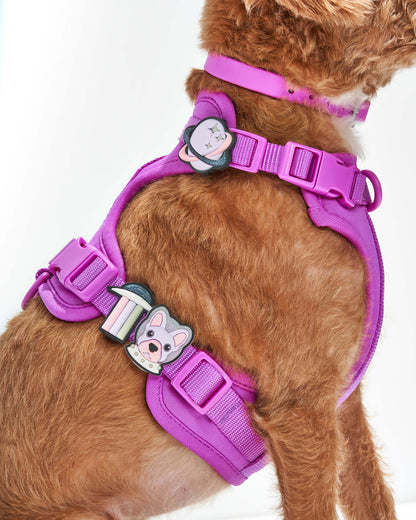 Easy Fit Harness
