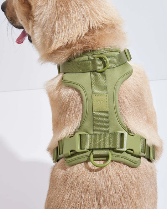 Easy Fit Harness