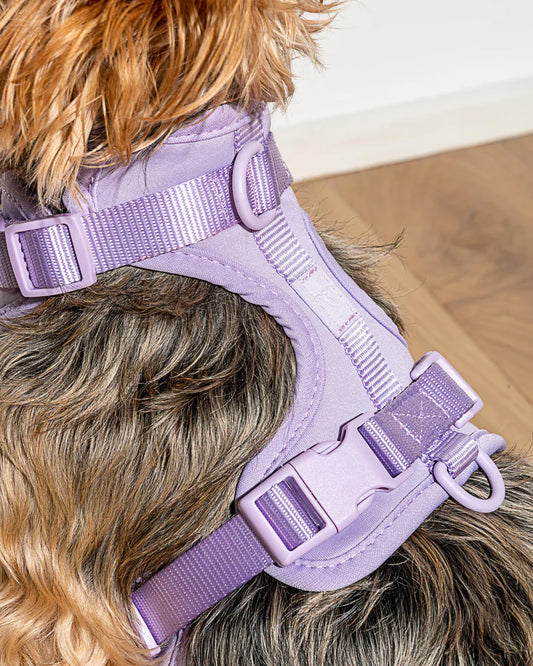 Easy Fit Harness